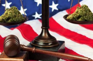 Blog_marijuana